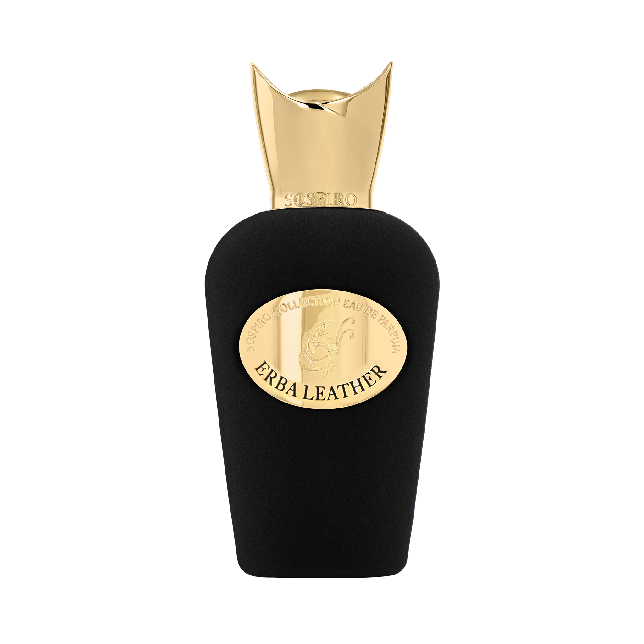 Erba Leather Eau de Parfum