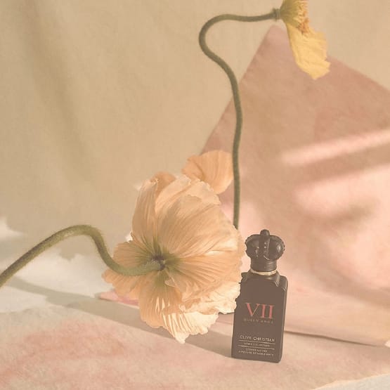 Cosmos Flower- A Perfume of Noble Birth