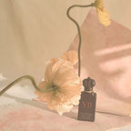 Cosmos Flower- A Perfume of Noble Birth