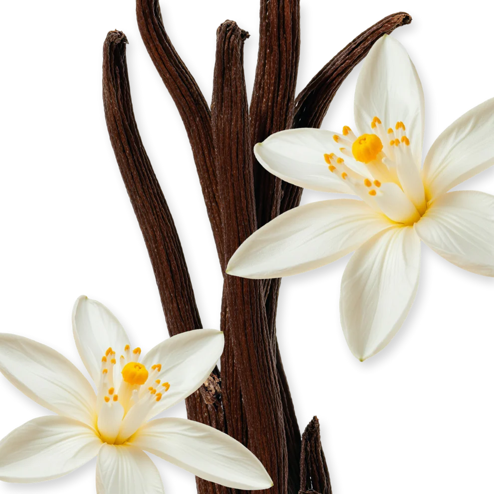 Althäir Eau de Parfum